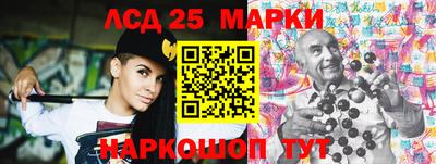гашик Волжский
